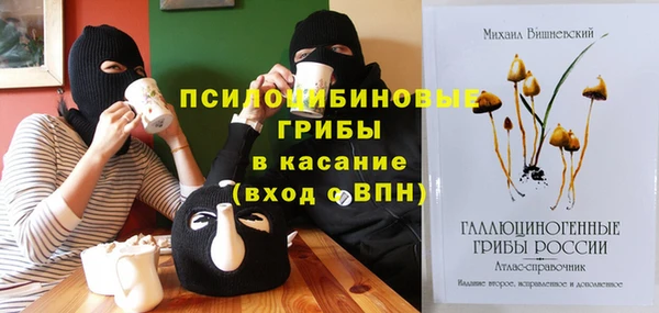 бошки Белокуриха