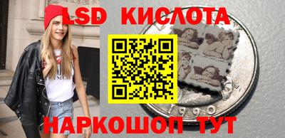 крисы Бийск