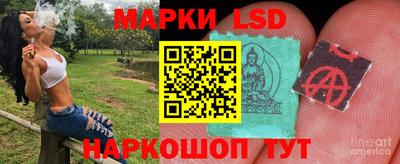 сатива Бузулук