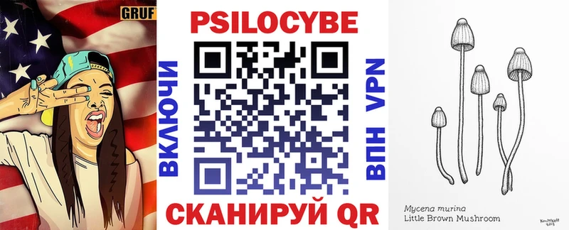 закладки  Елизово  darknet наркотические препараты  Псилоцибиновые грибы Cubensis 