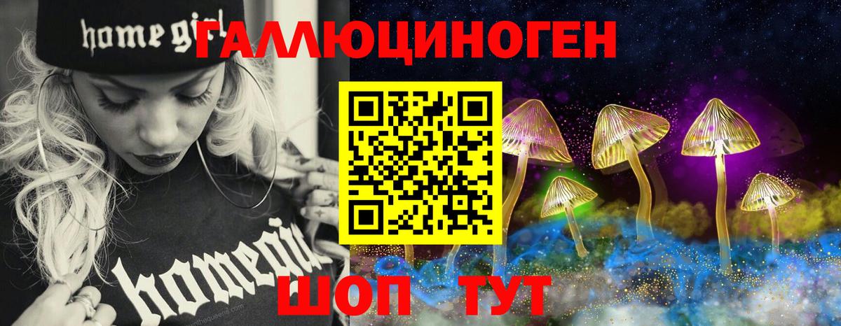 Галлюциногенные грибы GOLDEN TEACHER  Вход с VPN  закладки  Елизово  Галлюциногенные грибы MAGIC MUSHROOMS 