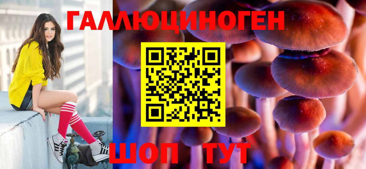 Псилоцибиновые грибы Psilocybine cubensis  Елизово 